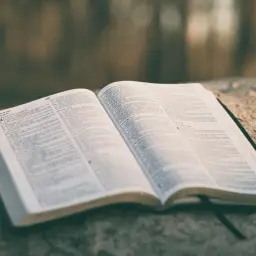 Otwarta Biblia na kamieniu, z widocznym tekstem. Psalm o miłości, który można odnaleźć w jej kartach, inspiruje do refleksji.